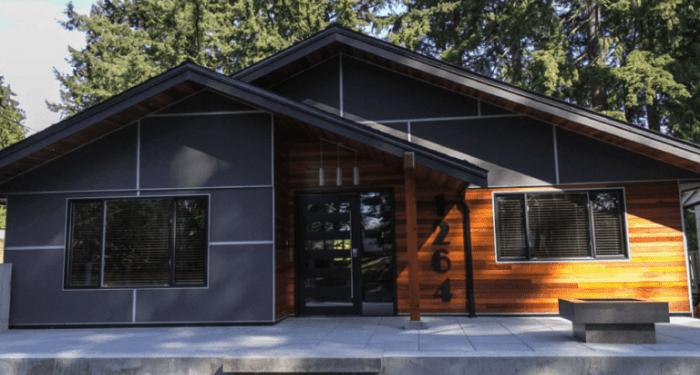31 Modern Vinyl Siding Ideas for Your House