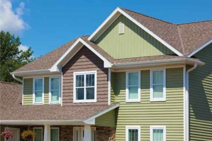31 Modern Vinyl Siding Ideas for Your House